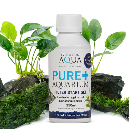 Evolution Aqua Pure+ Aquarium - bakterie w żelu | Szybkie dojrzewanie akwarium