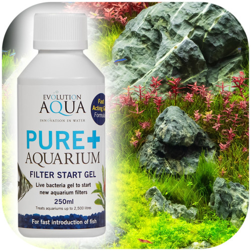 Evolution Aqua Pure+ Aquarium - bakterie w żelu | Szybkie dojrzewanie akwarium