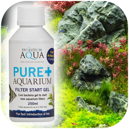 Evolution Aqua Pure+ Aquarium - bakterie w żelu | Szybkie dojrzewanie akwarium