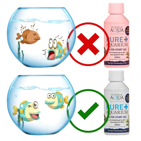 Evolution Aqua Pure+ Aquarium - bakterie w żelu | Szybkie dojrzewanie akwarium