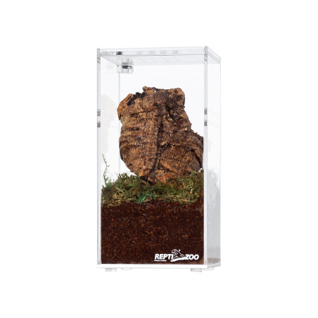 Repti-Zoo Terrarium akrylowe wysokie 7,5x7,5x15cm | Idealne dla małych gadów, szybka wysyłka