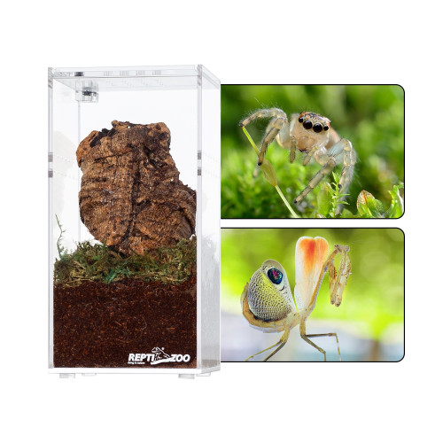 Repti-Zoo Terrarium akrylowe wysokie 7,5x7,5x15cm | Idealne dla małych gadów, szybka wysyłka