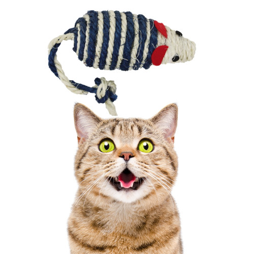 Pet Nova zabawka dla kota - myszka 10x5cm | Idealna do zabawy