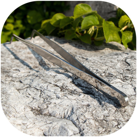Terrario ViperTweez Bent M - pęseta zagięta 25cm | Idealna do terrarium