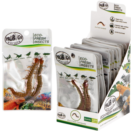 ProBugs Eco-Fresh Scolopendra Centipede 15 x 2pcs - świeże skolopendry 15 saszetek