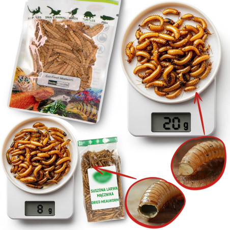 ProBugs Eco-Fresh Scolopendra Centipede 15 x 2pcs - świeże skolopendry 15 saszetek