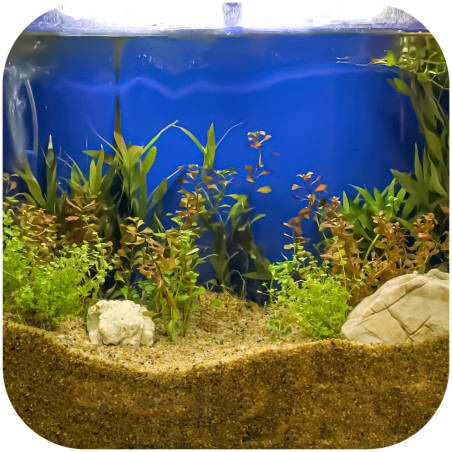 Eco Plant Natural River 1kg żwir rzeczny 1-3mm - Idealny do akwarium słodkowodnego