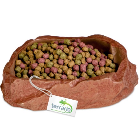 Terrario Natural Bowl M – Miska do Terrarium 11,5x9x3 cm - Naturalny wygląd, bezpieczna dla gadów