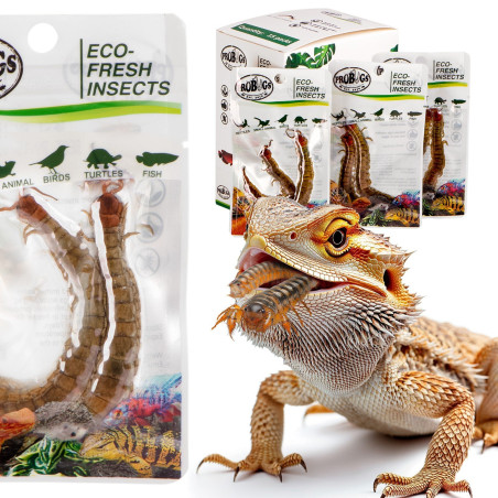 ProBugs Eco-Fresh Scolopendra Centipede 15 x 2pcs - świeże skolopendry 15 saszetek