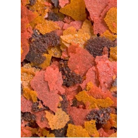Ocean Nutrition Discus Flakes 34g (pokarm dla paletek) - Intensywne kolory i lepsza kondycja