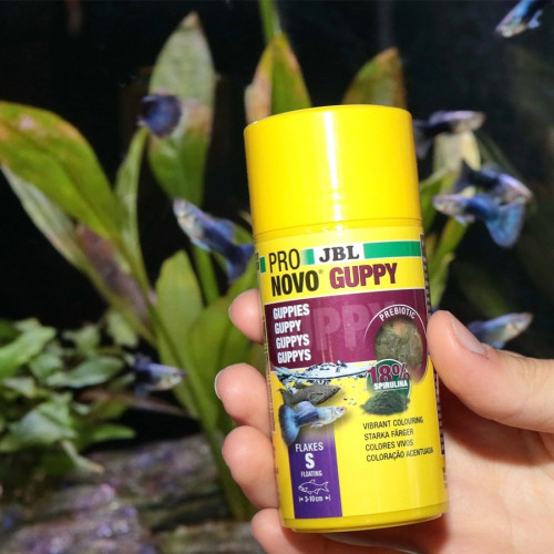 JBL Pronovo Grupy 100ml - pokarm dla gupików i ryb żyworodnych | Wzmacnia kolor i kondycję