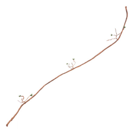 Repti-Zoo Jungle Vine - liana gięta z liśćmi 150cm | Idealna do terrarium