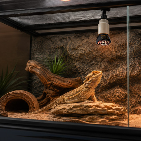 Ceramiczny emiter ciepła Aventerra DARKAYA 25W – bez światła, do terrarium