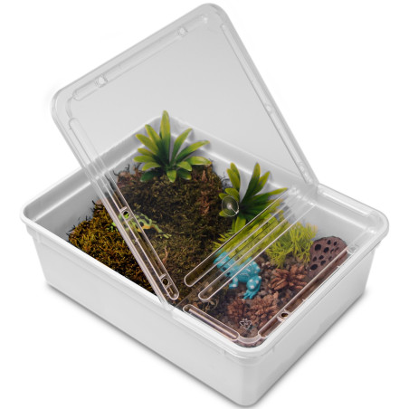 Terrario Reptiland White 25x19x7,5cm - białe terrarium faunarium | Idealne dla małych gadów