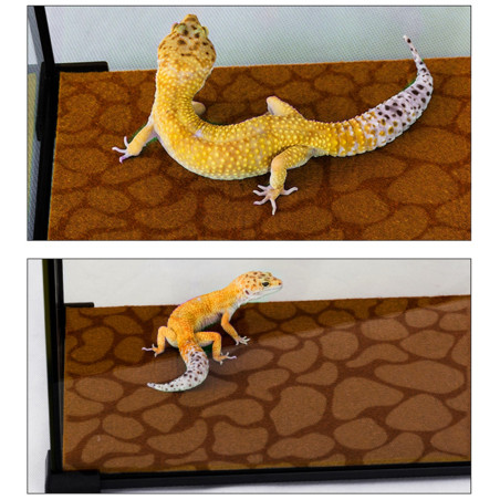 Resun Desert Carpet Mat 50x20cm - mata do terrarium | Bezpieczna, łatwa w czyszczeniu