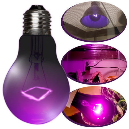 Repti-Zoo Night Heat Bulb 75W - Optymalne nocne ciepło dla gadów