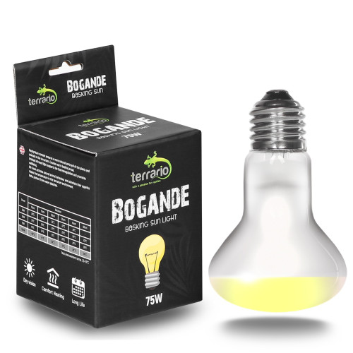 Terrario Bogande Basking Sun Light - żarówka grzewcza 75W | Optymalne ogrzewanie dla gadów