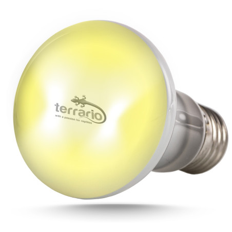 Terrario Bogande Basking Sun Light - żarówka grzewcza 75W | Optymalne ogrzewanie dla gadów