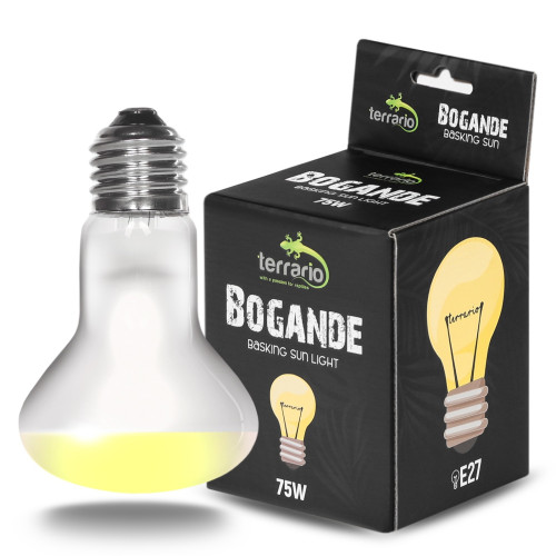 Terrario Bogande Basking Sun Light - żarówka grzewcza 75W | Optymalne ogrzewanie dla gadów