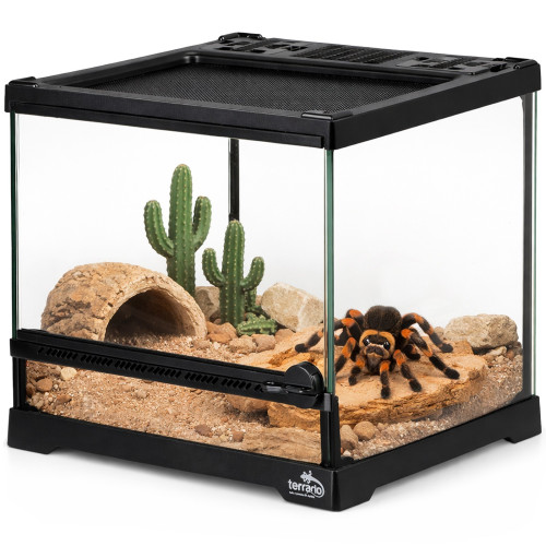 Terrarium szklane Terrario TerraVista Luma 20x20x20 cm