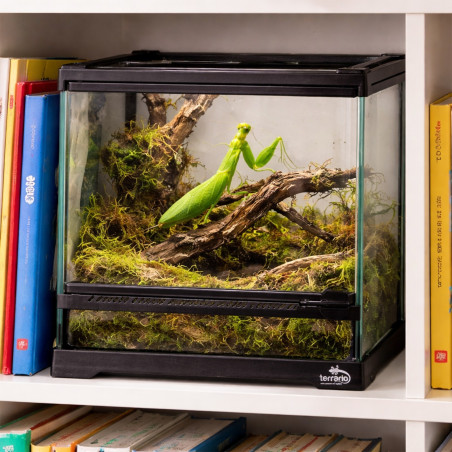 Terrarium szklane Terrario TerraVista Luma 20x20x20 cm