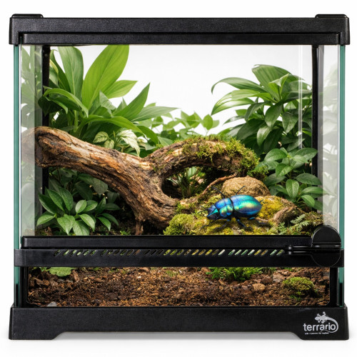 Terrarium szklane Terrario TerraVista Luma 20x20x20 cm