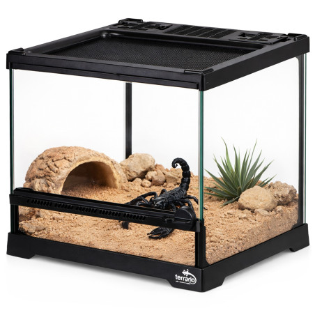 Terrarium szklane Terrario TerraVista Luma 20x20x20 cm