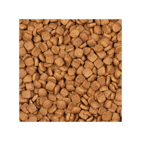 Voskes Adult Sterilized Chicken 2kg - kontrola wagi i zdrowie po sterylizacji