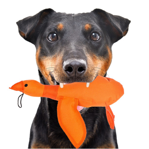 HappyPet Dazzle Ducks - piszcząca kaczka | Idealna zabawka dla psa