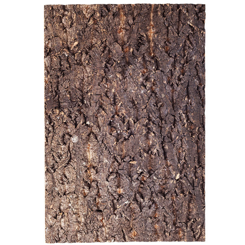 Repti-Zoo Big Tree Background - tło z kory do terrarium 30x45cm | Naturalny wygląd