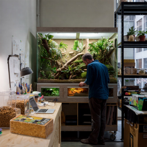 Podłoże kokosowe Aventerra KOKOY 8 l zrębki kokosa do terrarium