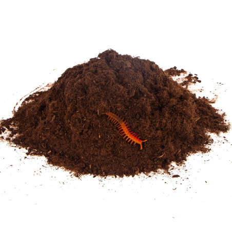 Terrario Paraguay Muds Powder - torf drobny 5l | Idealne do terrarium