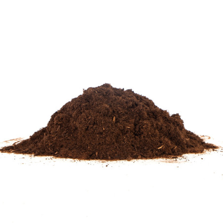 Terrario Paraguay Muds Powder - torf drobny 5l | Idealne do terrarium