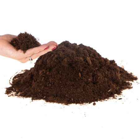 Terrario Paraguay Muds Powder - torf drobny 5l | Idealne do terrarium