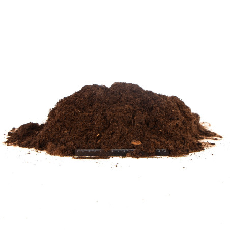 Terrario Paraguay Muds Powder - torf drobny 5l | Idealne do terrarium