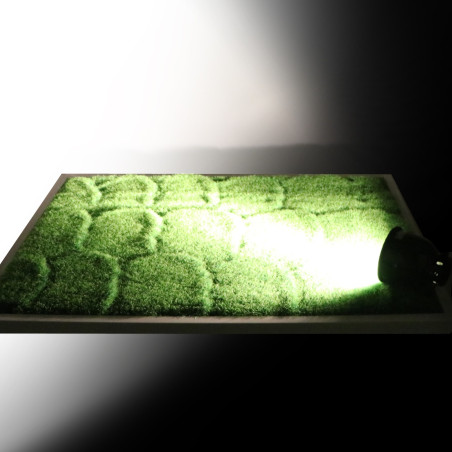 Repti-Zoo Mini Halogen Spot 35W - Idealny do terrarium