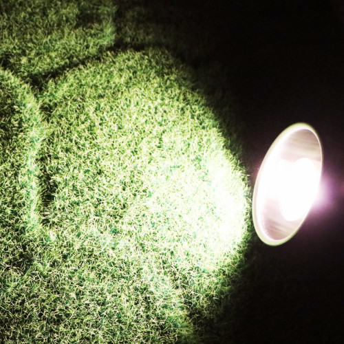 Repti-Zoo Mini Halogen Spot 35W - Idealny do terrarium