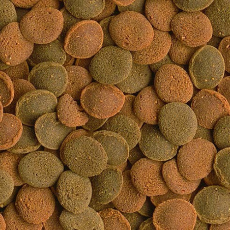 Tetra Wafer Mix 100ml - pokarm dla ryb dennych | Wysoka akceptacja, szybka wysyłka