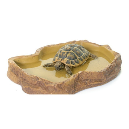 Repti-Zoo miska na pokarm S 11x9x3 cm - Idealna do terrarium, łatwa w czyszczeniu