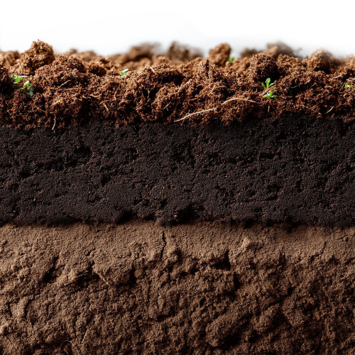 Podłoże torfowe Aventerra Tropica Peat Soil 4 l, drobne do terrarium