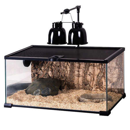 Repti-Zoo Simple Habitat - terrarium 31x21x30 | Idealne dla małych gadów, łatwe w czyszczeniu