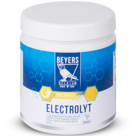 Beyers Electrolyt 500g - Szybka regeneracja i nawodnienie dla gołębi sportowych