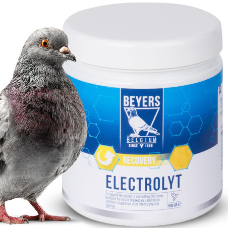 Beyers Electrolyt 500g - Szybka regeneracja i nawodnienie dla gołębi sportowych