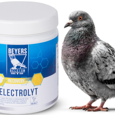 Beyers Electrolyt 500g - Szybka regeneracja i nawodnienie dla gołębi sportowych