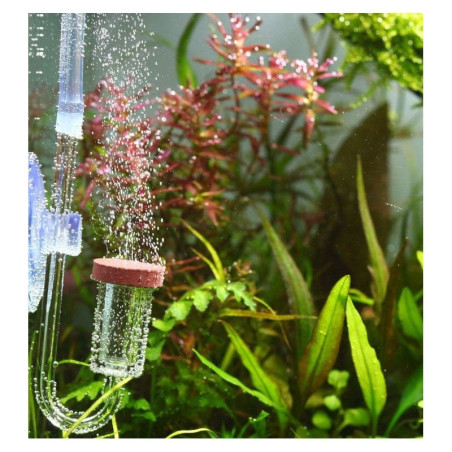 Chihiros Nano CO2 Diffuser M - dyfuzor CO2 akrylowy | Idealny do nano akwarium