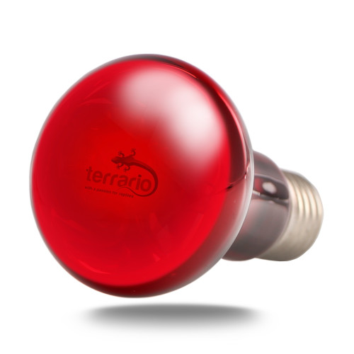 Żarówka podczerwienna Terrario Nangola Red Night Light 25W, czerwone nocne światło do terrarium