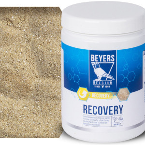 Beyers Recovery 600g - preparat regeneracyjny