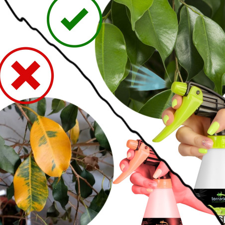 Terrario Troppi Sprayer 750ml - zraszacz ręczny | Precyzyjne, delikatne nawilżanie terrarium