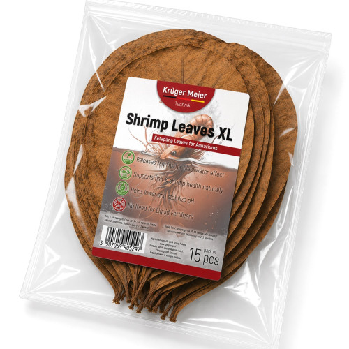 Liście ketapangu Kruger Meier Shrimp Leaves XL 15 szt. – naturalne obniżenie pH