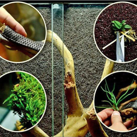 Wacool Rainforest Plant Cotton 590x440mm - hydrolon | Idealny do terrarium, szybka wysyłka